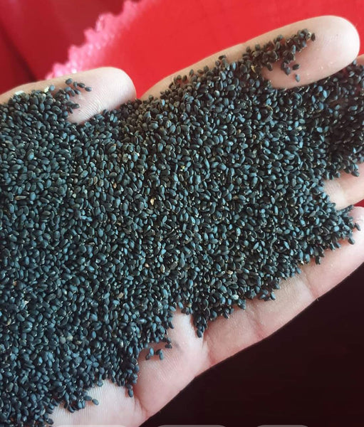 Basil Seeds